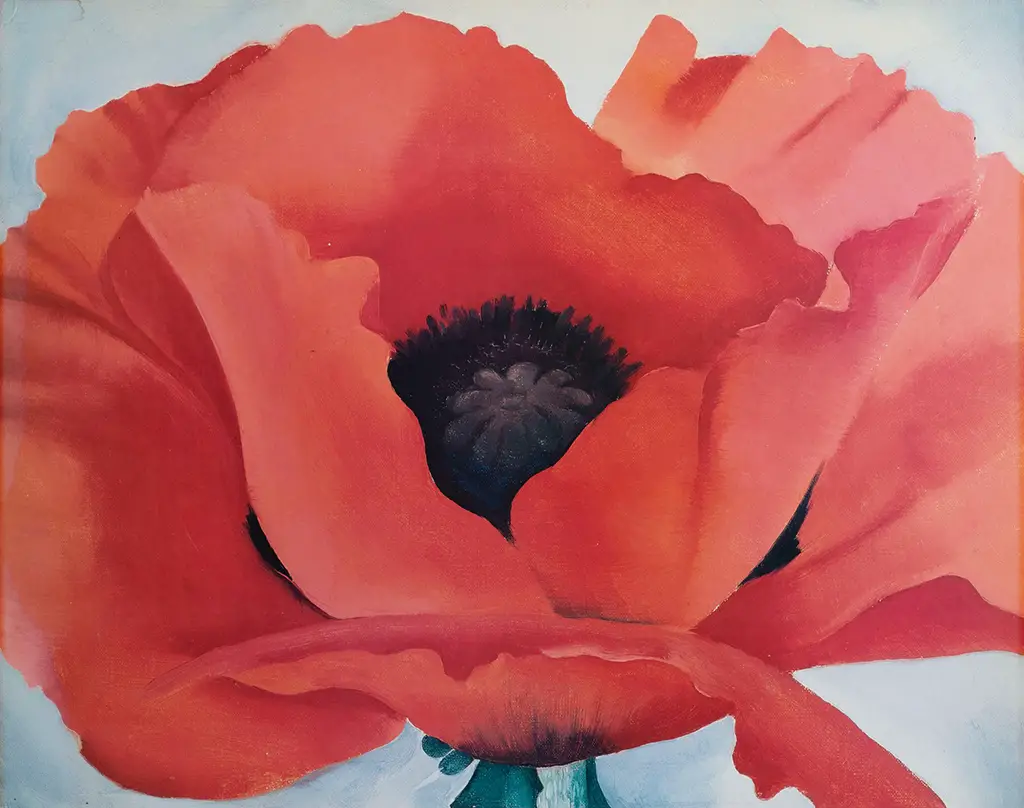 Red Poppy in Detail Georgia O'Keeffe
